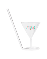 Tini Bit Naughty Martini Glass Sipper